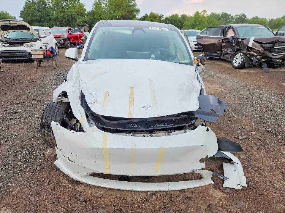 61953026 :رقم المزاد ، 7SAYGDED3RF129160 vin ، 2024 Tesla Model Y مزاد بيع