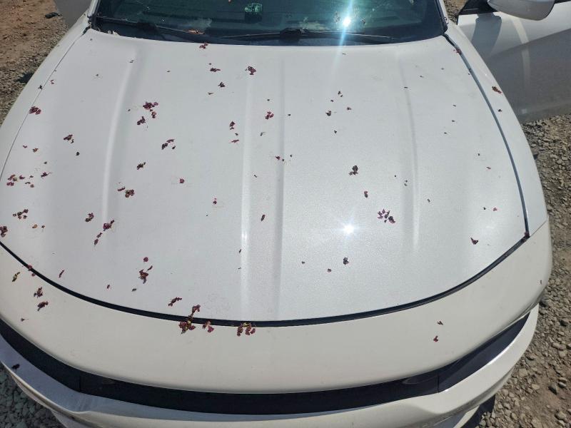 60326076 :رقم المزاد ، 2C3CDXCT4FH880354 vin ، 2015 Dodge Charger مزاد بيع