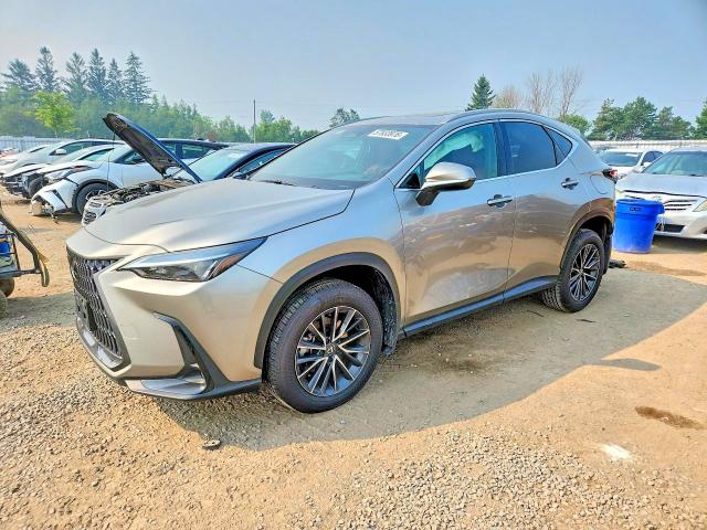 57833976 :رقم المزاد ، 2T2GKCEZ2RC028513 vin ، 2024 Lexus Nx 350h مزاد بيع