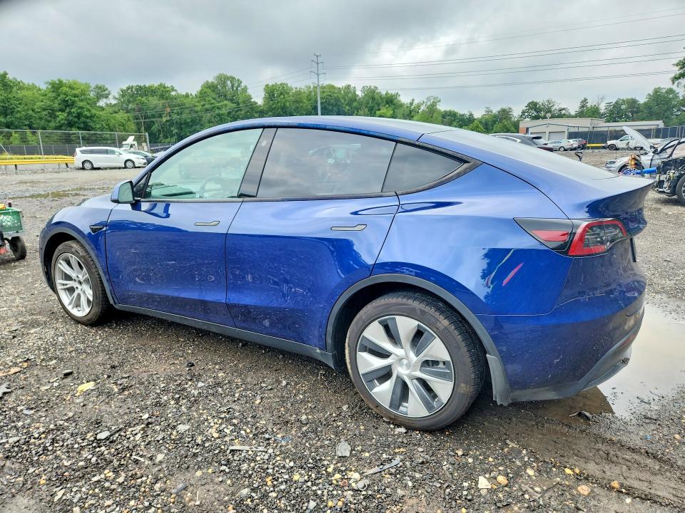 60111676 :رقم المزاد ، 5YJYGDEE3MF303680 vin ، 2021 Tesla Model Y مزاد بيع