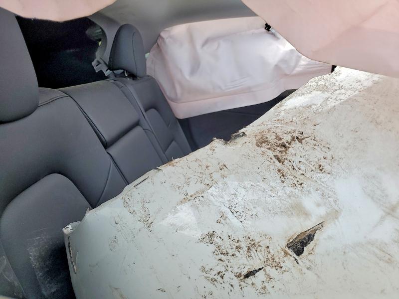 Aukcja sprzedaży 2025 Tesla Model Y, vin: 7SAYGDEE8SF215952, numer aukcji: 61781456