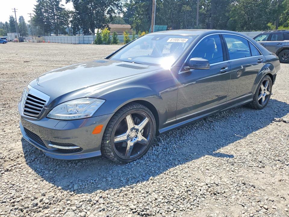 Auction sale of the 2010 Mercedes-benz S, vin: WDDNG7BB7AA316358, lot number: 61906746