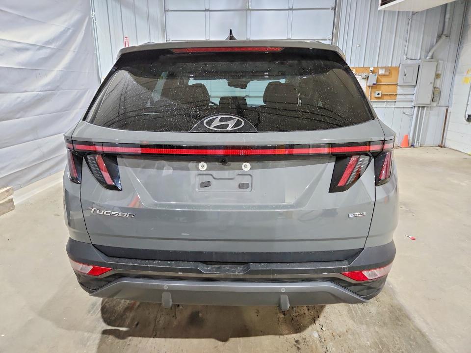 Продаж на аукціоні авто 2024 Hyundai Tucson, vin: 5NMJECDE3RH327342, номер лоту: 61409756
