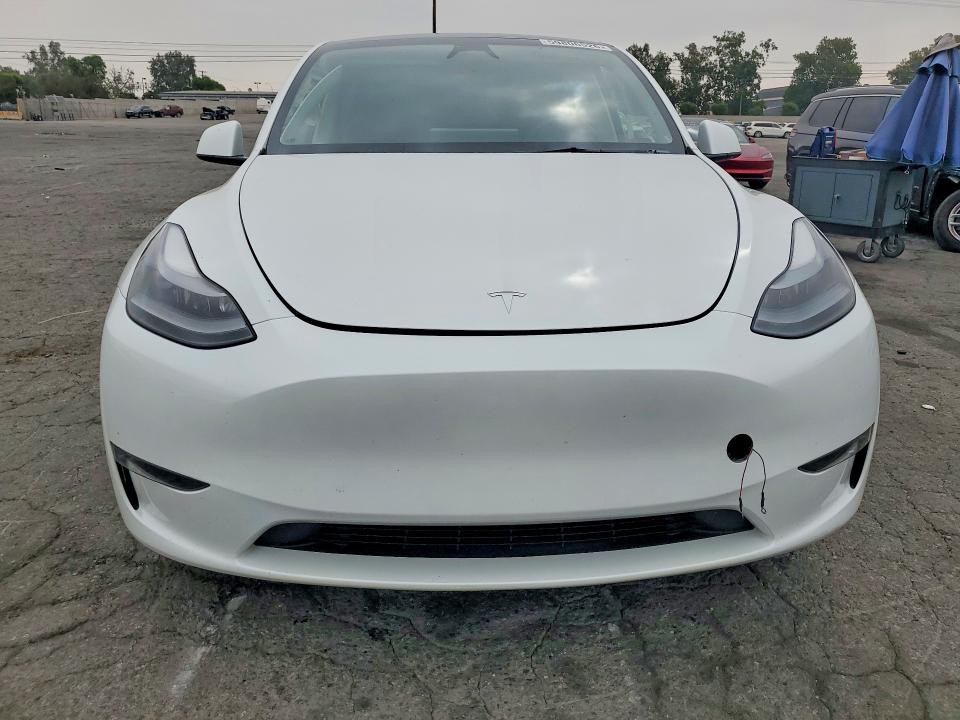 Aukcja sprzedaży 2023 Tesla Model Y, vin: 7SAYGDEF3PF884288, numer aukcji: 59806526