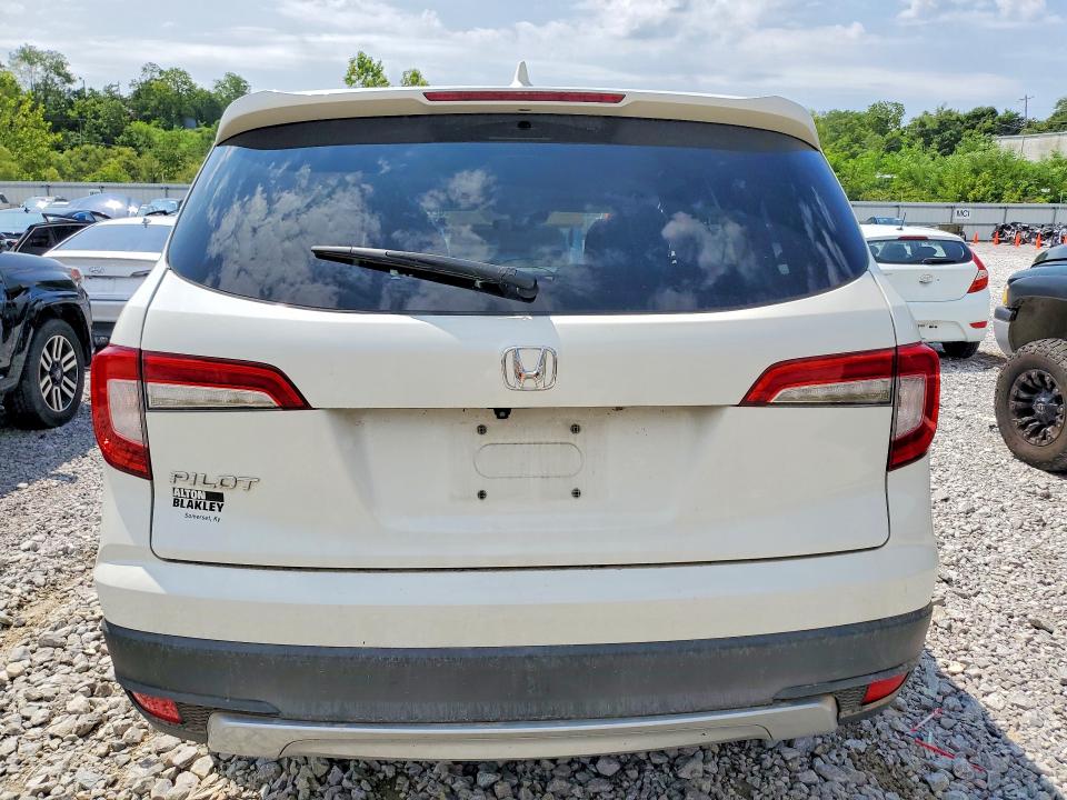 62220416 :رقم المزاد ، 5FNYF5H36KB025566 vin ، 2019 Honda Pilot مزاد بيع