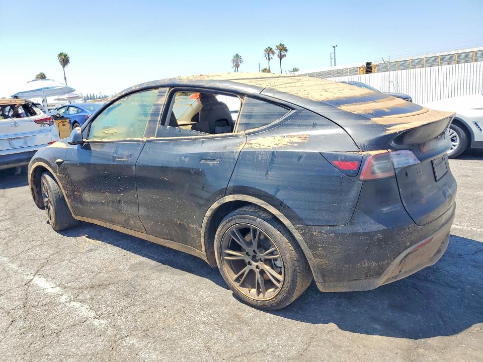 Продаж на аукціоні авто 2024 Tesla Model Y, vin: 7SAYGDED2RF166149, номер лоту: 62712826