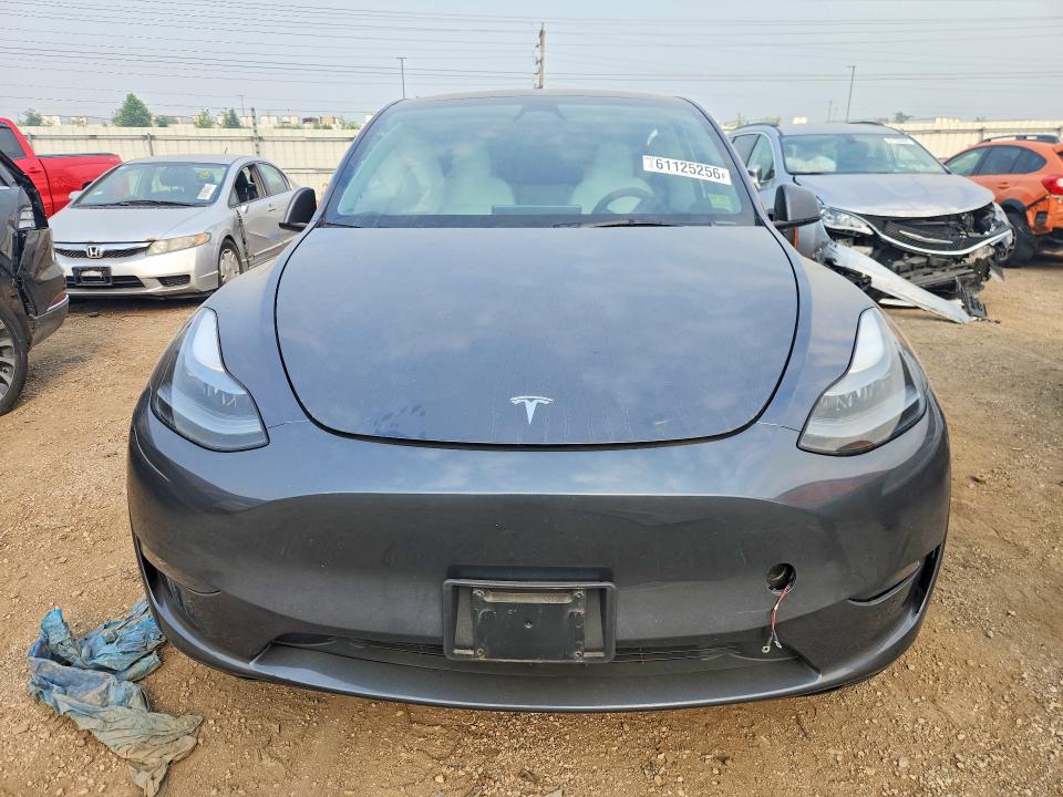 Продаж на аукціоні авто 2023 Tesla Model Y, vin: 7SAYGDEFXPF858898, номер лоту: 61125256