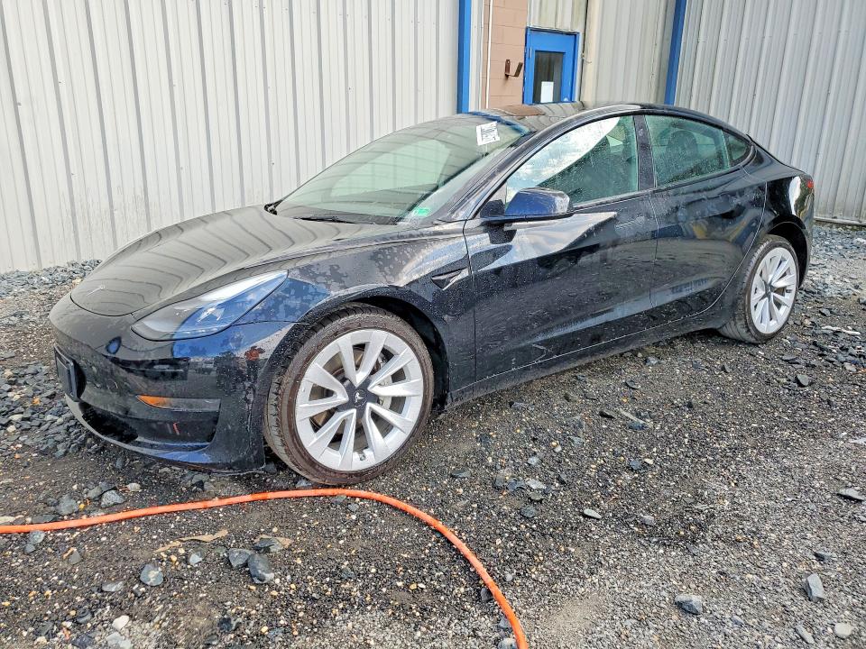 Продаж на аукціоні авто 2023 Tesla Model 3, vin: 5YJ3E1EAXPF449204, номер лоту: 60417896