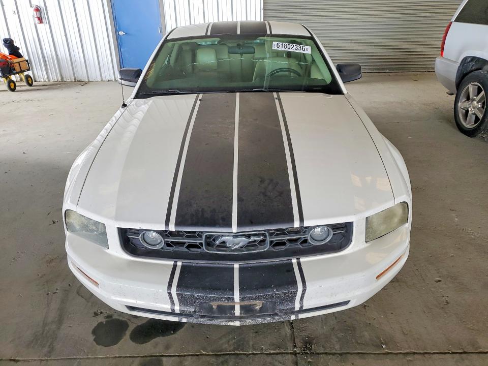 Продаж на аукціоні авто 2006 Ford Mustang, vin: 1ZVHT80N965150119, номер лоту: 61802336