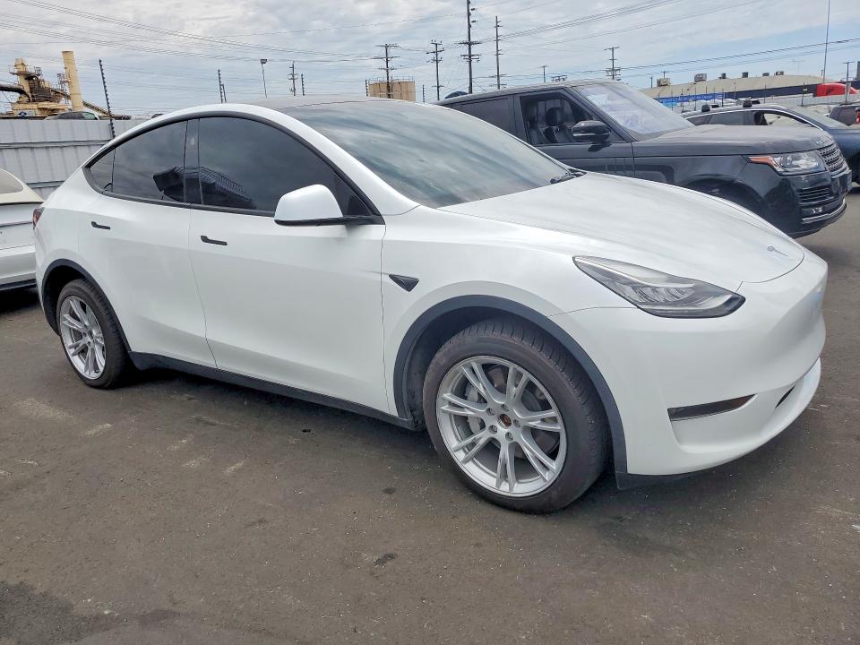 Продаж на аукціоні авто 2023 Tesla Model Y, vin: 7SAYGDEE0PA154245, номер лоту: 59736066