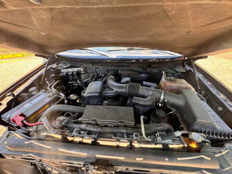 2010 Ford F150 მანქანა იყიდება აუქციონზე, vin: 1FTFW1EV3AFB18173, აუქციონის ნომერი: 61660106