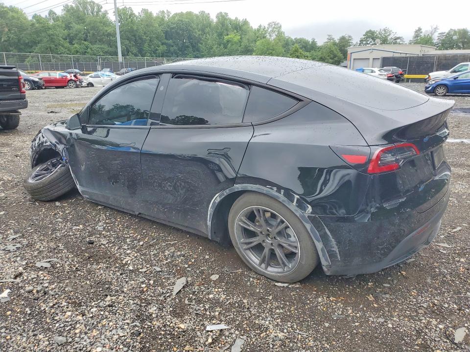 Продаж на аукціоні авто 2025 Tesla Model  Y, vin: 7SAYGDED0SA375490, номер лоту: 59980206