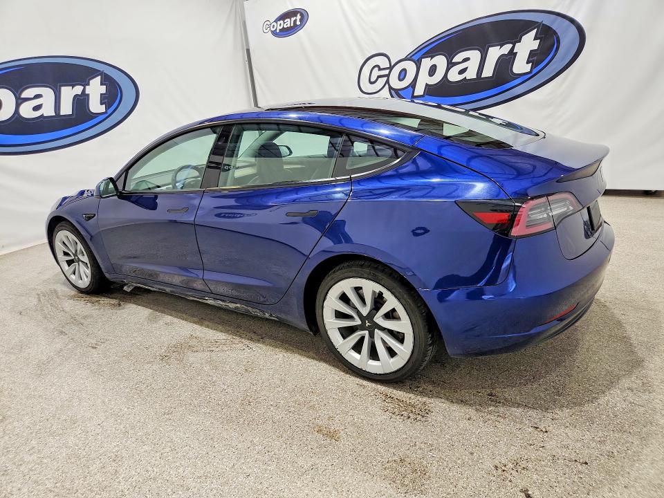 Продаж на аукціоні авто 2023 Tesla Model 3, vin: 5YJ3E1EA4PF449943, номер лоту: 62235336