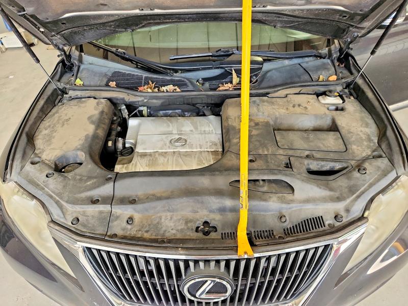 63054536 :رقم المزاد ، 2T2BK1BA8AC005559 vin ، 2010 Lexus Rx مزاد بيع
