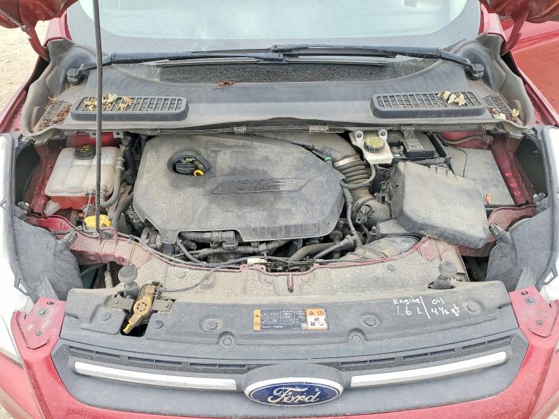 Продаж на аукціоні авто 2014 Ford Escape, vin: 1FMCU0GX7EUC29047, номер лоту: 62132976