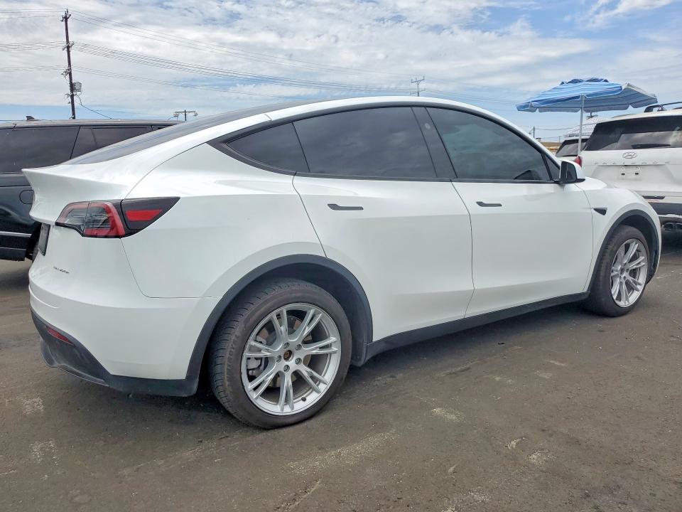 Продаж на аукціоні авто 2023 Tesla Model Y, vin: 7SAYGDEE0PA154245, номер лоту: 59736066
