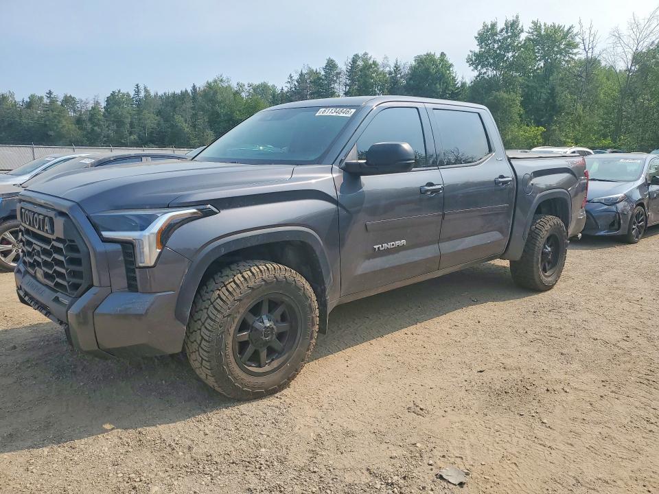 Auction sale of the 2022 Toyota Tundra, vin: 5TFLA5DB6NX018634, lot number: 61134846