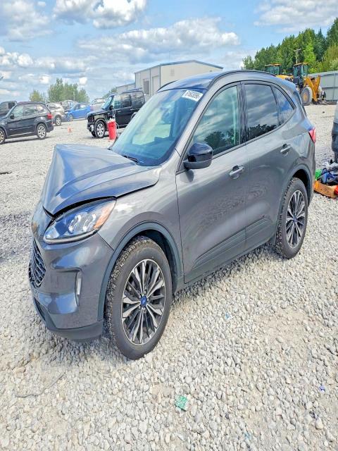 Auction sale of the 2022 Ford Escape, vin: 1FMCU9H97NUB83045, lot number: 61603096