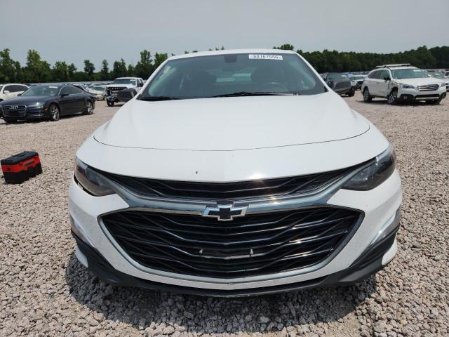 60167556 :رقم المزاد ، 1G1ZG5STXKF179244 vin ، 2019 Chevrolet Malibu مزاد بيع