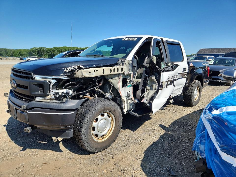 Auction sale of the 2019 Ford F150, vin: 1FTEW1EB9KKC42569, lot number: 61402806