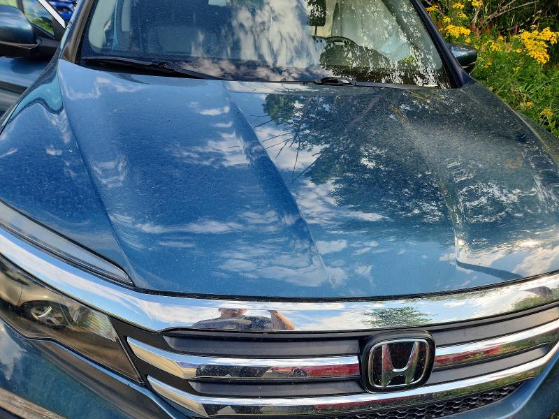 Продаж на аукціоні авто 2017 Honda Pilot, vin: 5FNYF6H78HB501737, номер лоту: 59241476