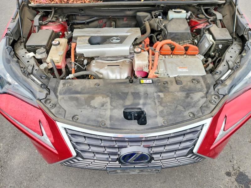 2020 Lexus Nx მანქანა იყიდება აუქციონზე, vin: JTJDJRDZ7L5004028, აუქციონის ნომერი: 59049726