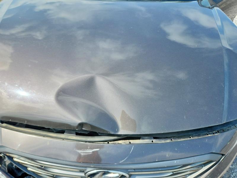 Продаж на аукціоні авто 2016 Hyundai Sonata, vin: 5NPE34AF8GH264197, номер лоту: 59286156
