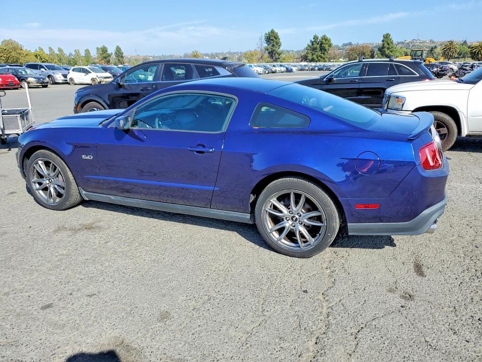 Продажа на аукционе авто 2011 Ford Mustang, vin: 1ZVBP8CF2B5169572, номер лота: 59241956