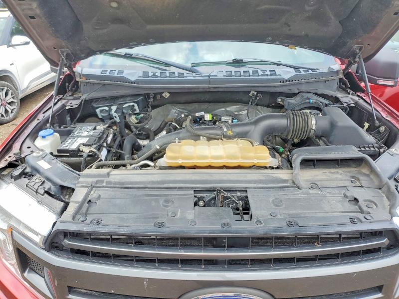 Aukcja sprzedaży 2019 Ford F150, vin: 1FTEW1EP2KFB25307, numer aukcji: 62568486