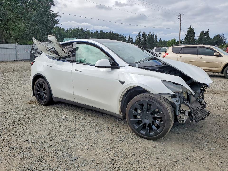 59297956 :رقم المزاد ، 5YJYGDEE9MF098009 vin ، 2021 Tesla Model  Y مزاد بيع