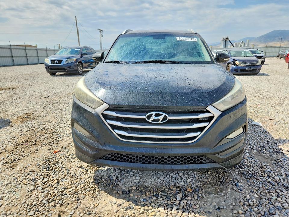 Продажа на аукционе авто 2017 Hyundai Tucson, vin: KM8J33A41HU419599, номер лота: 60950676