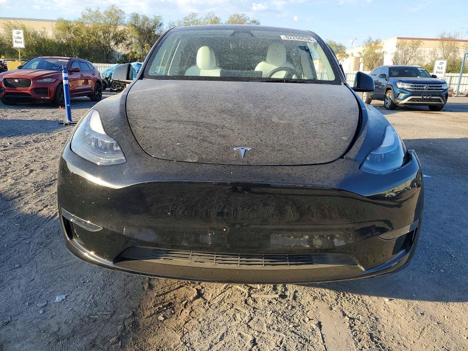Продаж на аукціоні авто 2024 Tesla Model Y, vin: 7SAYGDEE1RA219171, номер лоту: 62256536