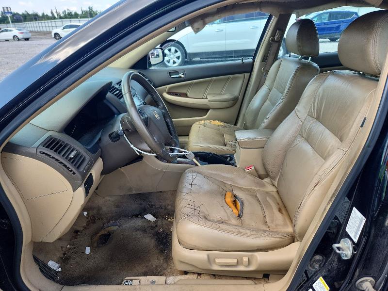 62049966 :رقم المزاد ، 1HGCM56876A142068 vin ، 2006 Honda Accord مزاد بيع