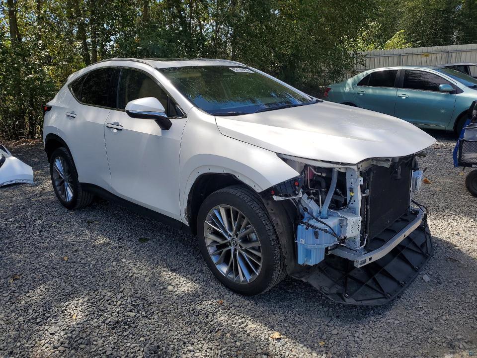 2023 Lexus Nx მანქანა იყიდება აუქციონზე, vin: 2T2GKCEZ9PC010278, აუქციონის ნომერი: 62100456