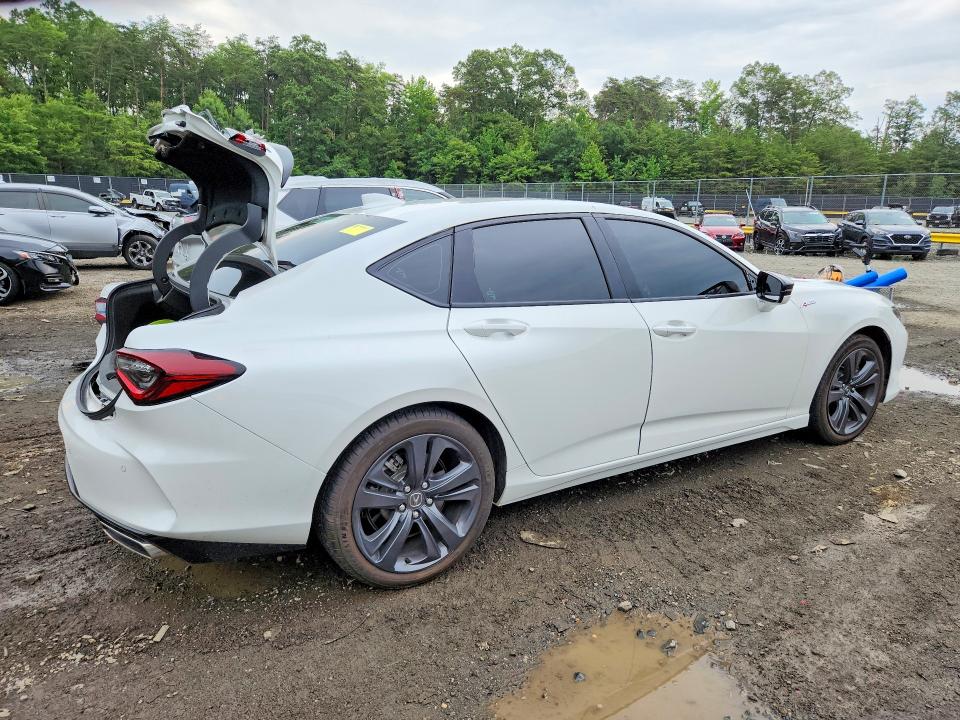 Auction sale of the 2023 Acura Tlx, vin: 19UUB6F51PA005831, lot number: 60762586