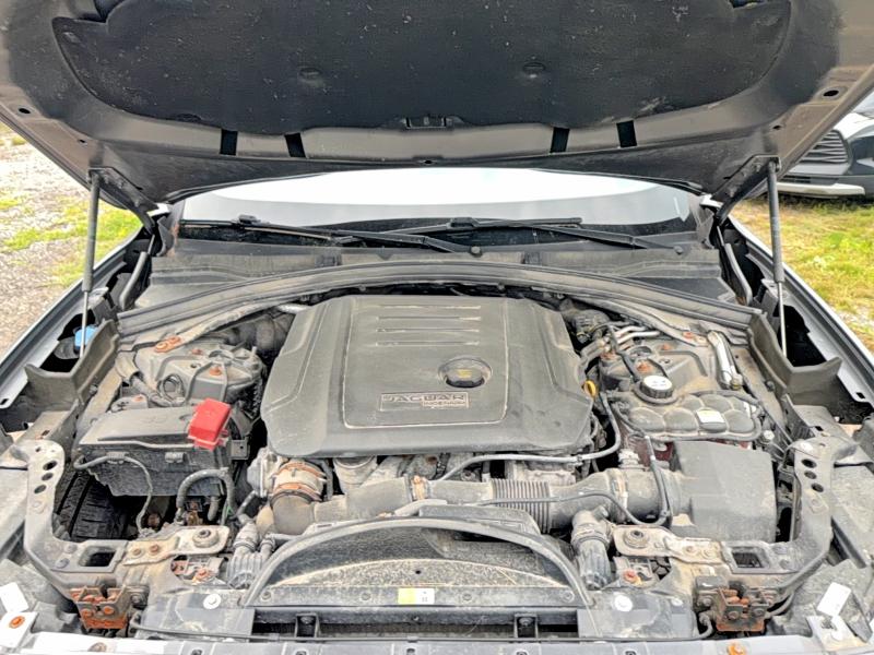 Продажа на аукционе авто 2019 Jaguar F-pace, vin: SADCK2FN4KA352120, номер лота: 61982076