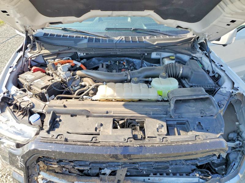 59962866 :رقم المزاد ، 1FTFW5LD5RFB67405 vin ، 2024 Ford F150 مزاد بيع