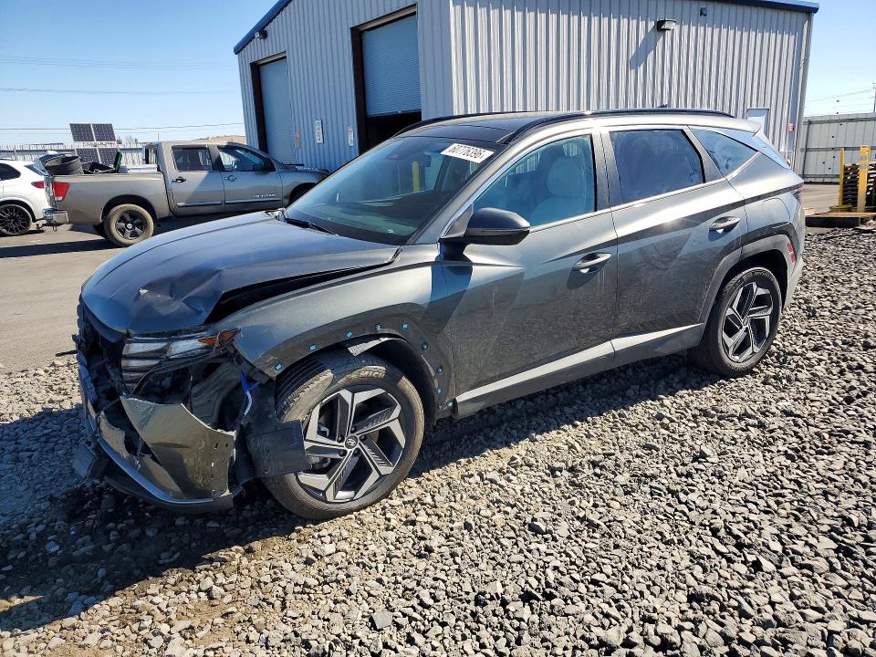 Продаж на аукціоні авто 2024 Hyundai Tucson, vin: KM8JCCD17RU147482, номер лоту: 60776396