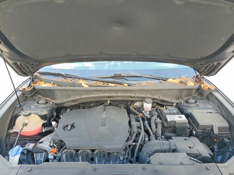 Продаж на аукціоні авто 2023 Hyundai Tucson, vin: 5NMJF3AE8PH169837, номер лоту: 61289356