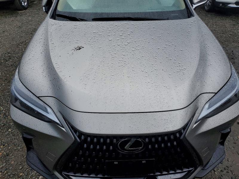 2024 Lexus Nx 350h მანქანა იყიდება აუქციონზე, vin: 2T2GKCEZ9RC029741, აუქციონის ნომერი: 61365316