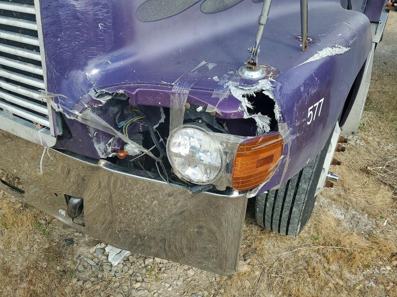 Aukcja sprzedaży 2002 Freightliner Conventional, vin: 1FUJBBCG52LK07982, numer aukcji: 59105296