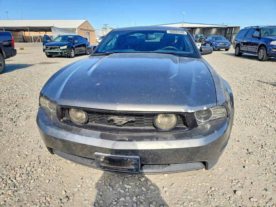 Продаж на аукціоні авто 2011 Ford Mustang, vin: 1ZVBP8CF1B5131783, номер лоту: 60642346