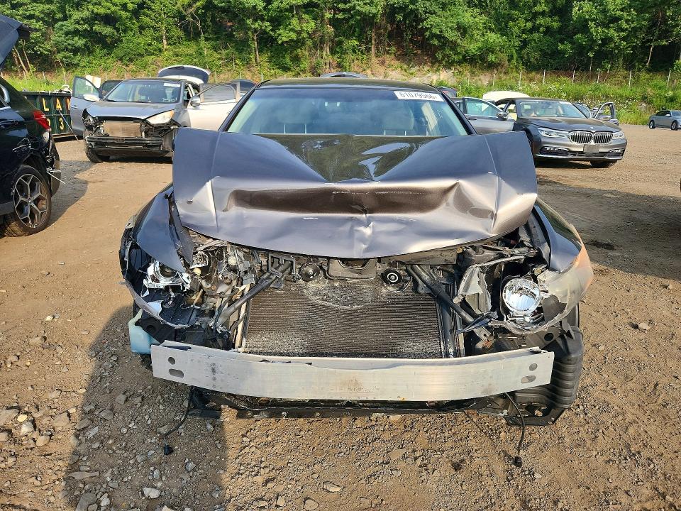 Aukcja sprzedaży 2010 Acura Tsx, vin: JH4CU2F66AC008806, numer aukcji: 61079566