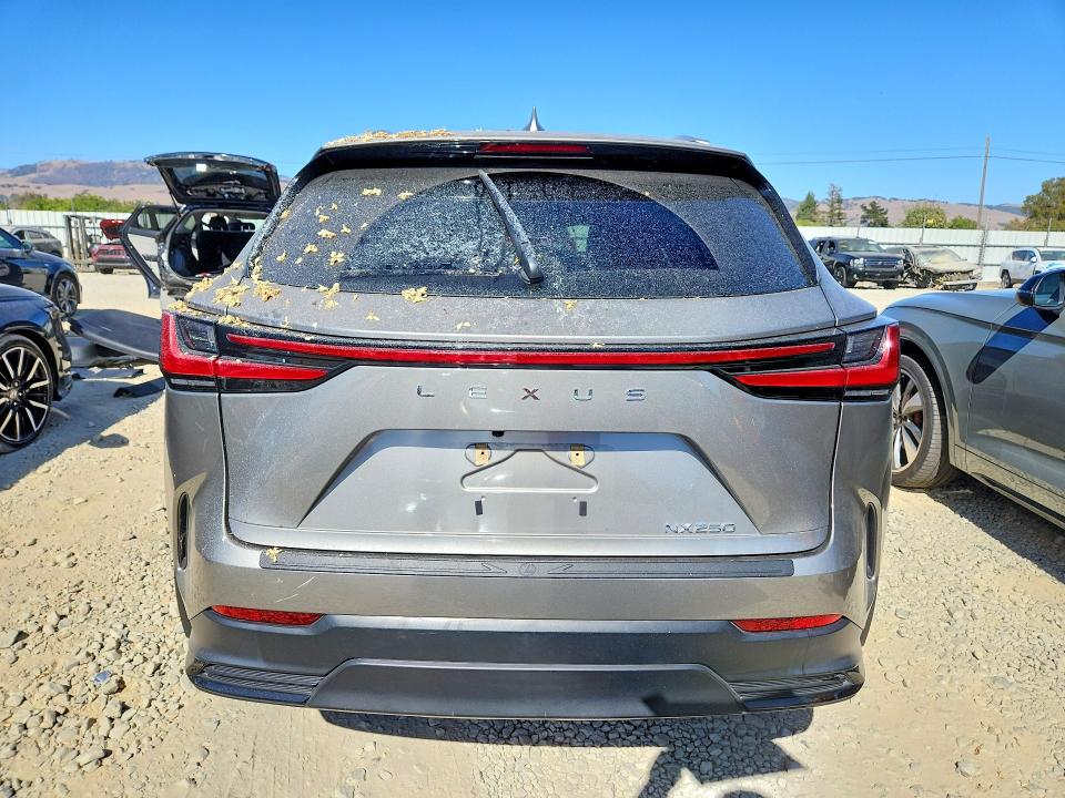 62713376 :رقم المزاد ، 2T2ADCAZ1RC012342 vin ، 2024 Lexus Nx 250 مزاد بيع