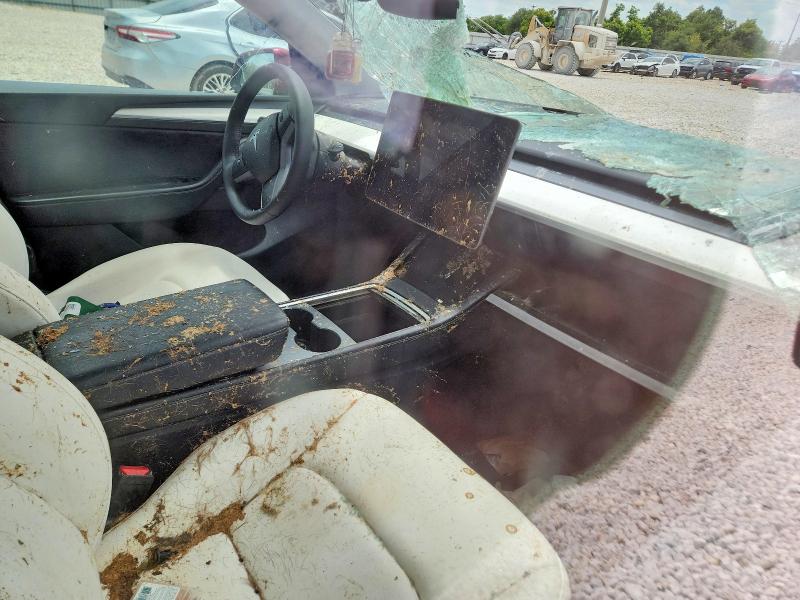 60043276 :رقم المزاد ، 7SAYGDED3RF024862 vin ، 2024 Tesla Model Y مزاد بيع
