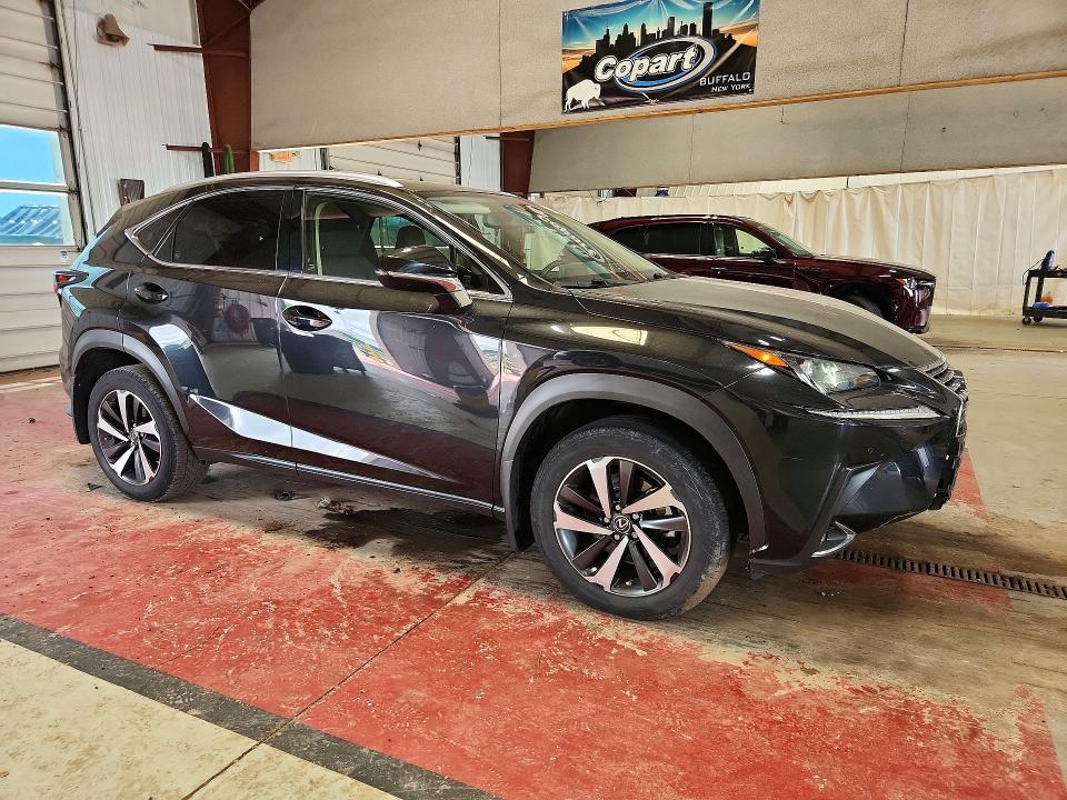 59800366 :رقم المزاد ، JTJGARDZ4M5031914 vin ، 2021 Lexus Nx 300 مزاد بيع