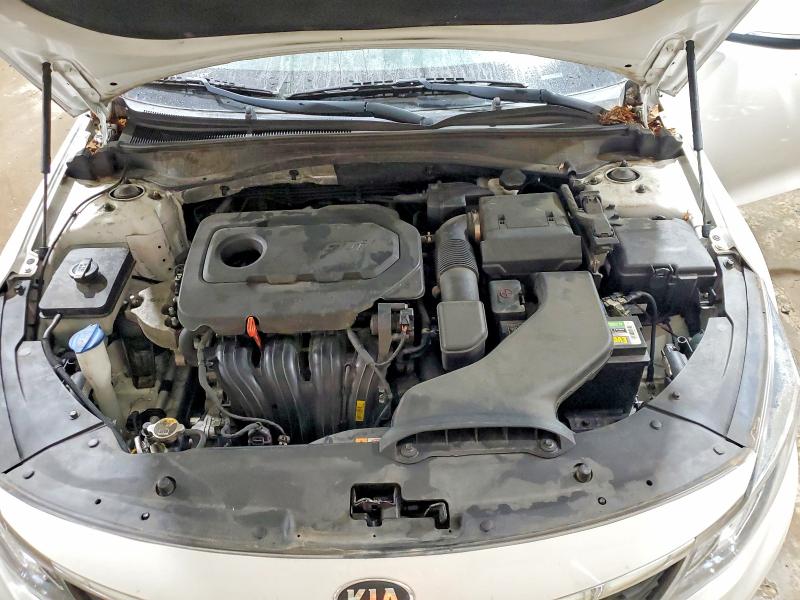 60053456 :رقم المزاد ، 5XXGT4L38KG294784 vin ، 2019 Kia Optima مزاد بيع