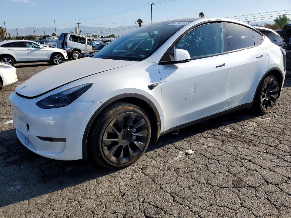 Продаж на аукціоні авто 2024 Tesla Model Y, vin: 7SAYGDEE9RA233710, номер лоту: 61154146