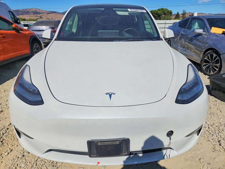 61926176 :رقم المزاد ، 5YJYGDEE1MF086050 vin ، 2021 Tesla Model Y مزاد بيع