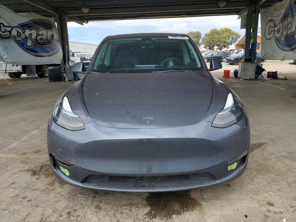 Продажа на аукционе авто 2023 Tesla Model Y, vin: 7SAYGDEE5PF635305, номер лота: 59901446